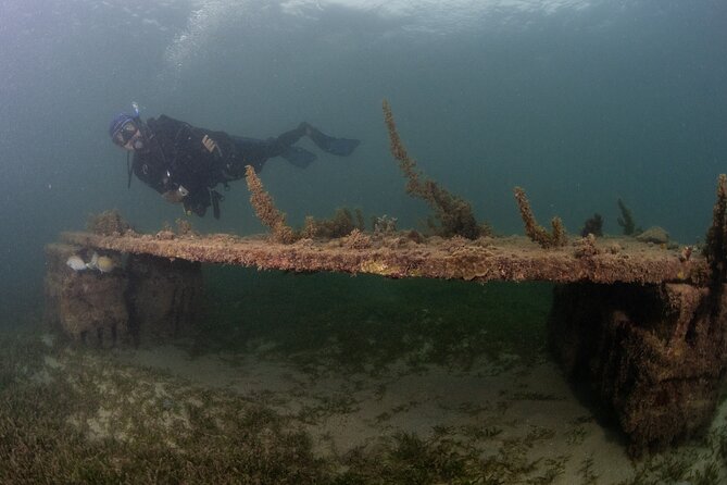 Scuba Tour for Certified Divers in San Juan - Price and value: $91 for a guided, gear-included shore session