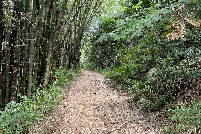 Small Group El Yunque Half Day Tour with Transport: Waterslide - Price vs value: is $89.25 worth it here?