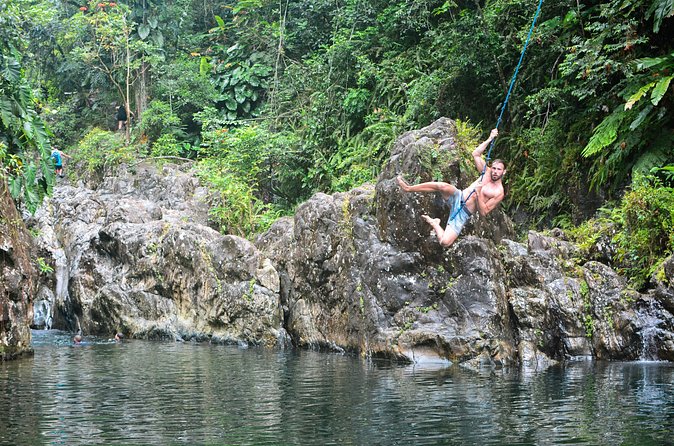 Small-Group El Yunque Rainforest Vivid Day Tour with Transport - Water Activities: Fun, Safety Rules, and What to Expect Physically