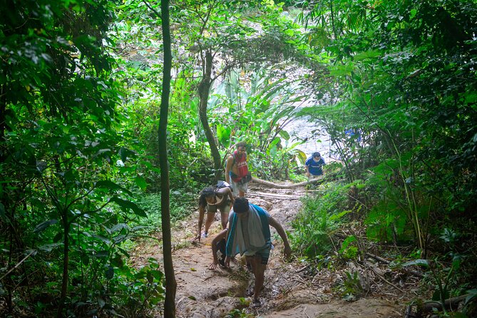 Small-Group El Yunque Rainforest Vivid Day Tour with Transport - Price and Value: What You’re Paying For at $75