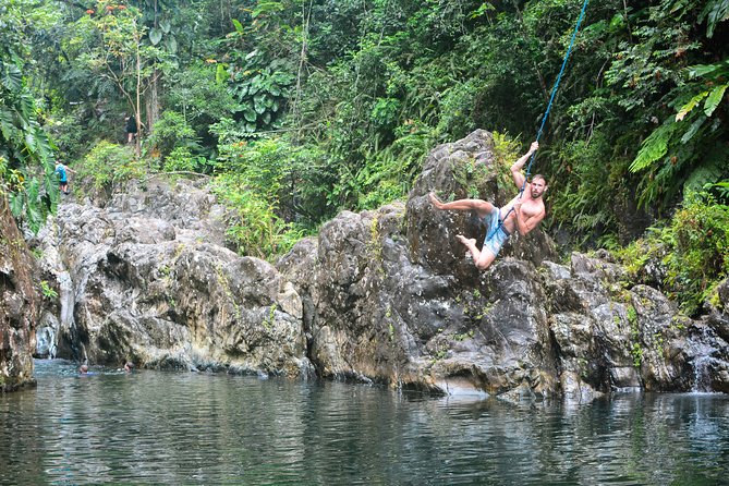 Small-Group El Yunque Rainforest Vivid Day Tour with Transport - Should You Book This El Yunque Water Adventure?