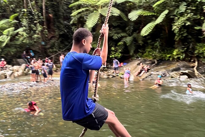 Small-Group El Yunque Waterslide Adventure & transportation - Quick hits before you go
