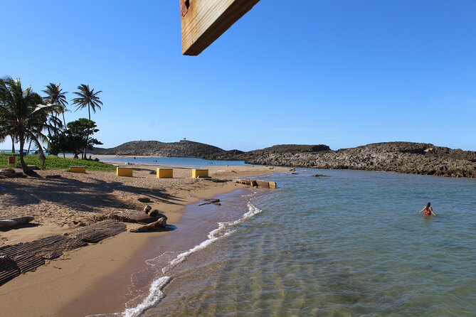 Small-Group North Coast Beach Hopping Adventure in Puerto Rico - Vega Baja Chinchorreo: A Short Local Snack-and-Drink Stop