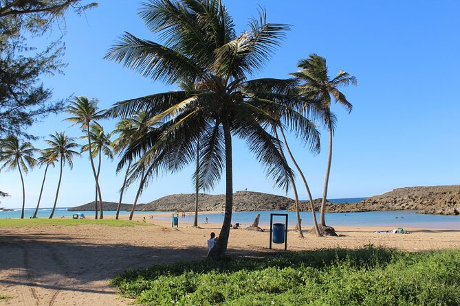 Small-Group North Coast Beach Hopping Adventure in Puerto Rico - Who This North Coast Tour Suits (and Who Might Skip It)