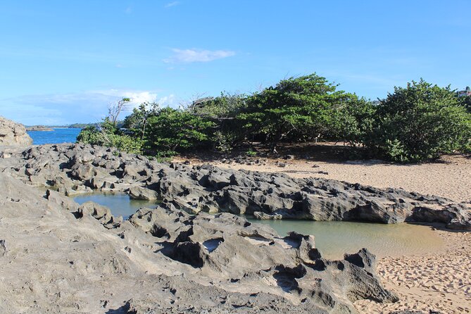 Small-Group North Coast Beach Hopping Adventure in Puerto Rico - Playa Mar Chiquita: Two Hours of White Sand and Water-Cliff Drama