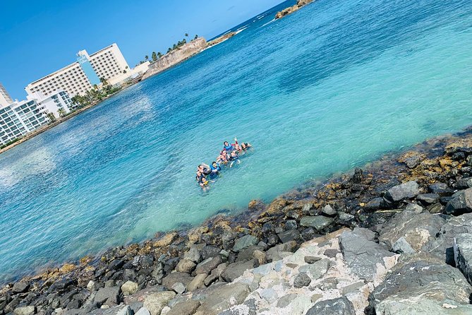 Snorkeling Guided Tour Experience in Condado Lagoon - Condado Lagoon snorkeling: the value is in the real estuary