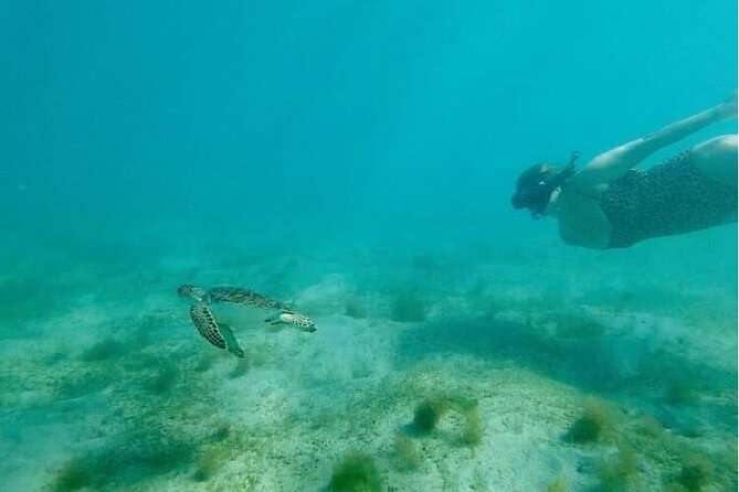 Snorkeling in Paradise - Videos Included - Escambron Beach Start: What Your 1.5-Hour Snorkel Day Looks Like