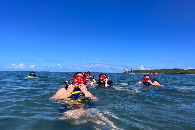 Snorkeling & Kayak Eco-Adventure in Puerto Rico - What’s Included, What’s Not, and What You Should Bring
