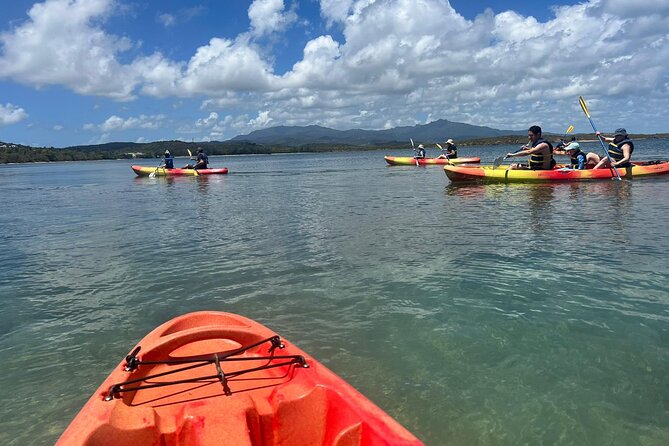 Snorkeling & Kayak Eco-Adventure in Puerto Rico - Marine Life Expectations: Turtles, Lobsters, Fish, and Reality