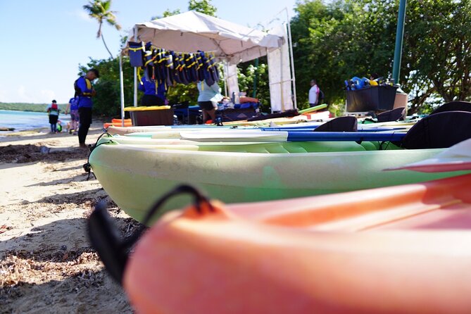 Snorkeling & Kayak Eco-Adventure in Puerto Rico - Weather, Timing, and Safety Changes That Can Happen