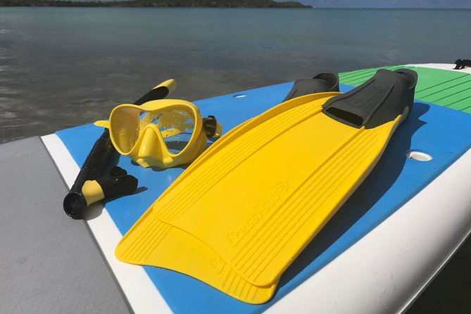 Snorkeling Lesson & Interactive Experience for Kids and Adults - Why Fajardo Works So Well for a First Snorkel Lesson