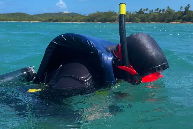 Snorkeling Lesson & Interactive Experience for Kids and Adults - Guides Who Keep Kids Calm and Adults Comfortable