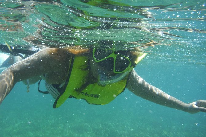 Snorkeling Lesson & Interactive Experience for Kids and Adults - Price and Value: What $58 Buys You in the Real World