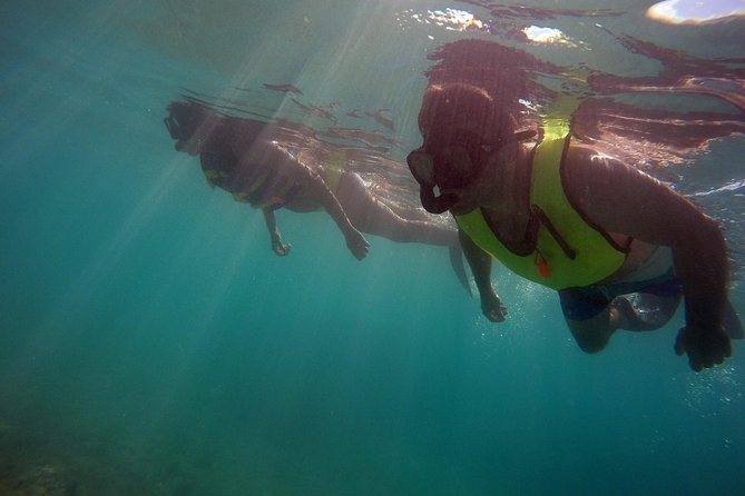 Snorkeling Lesson & Interactive Experience for Kids and Adults - Meeting Point and Getting There Without Stress