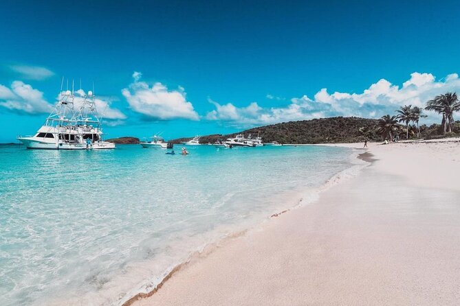 Snorkeling Tour to Vieques Island only 30 minutes away! - The snorkeling briefing, gear, and how the guides set you up