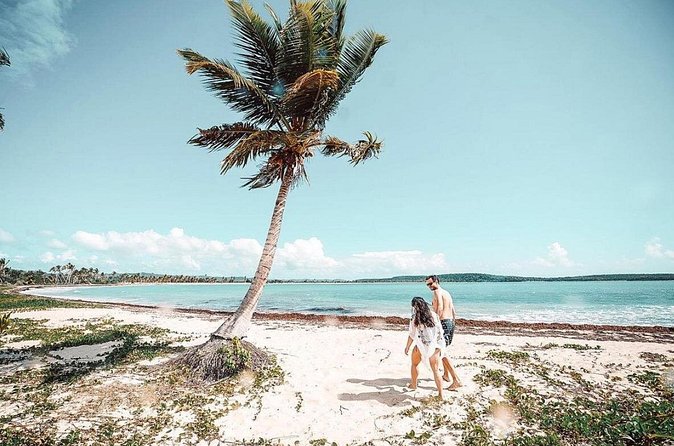 Snorkeling Tour to Vieques Island only 30 minutes away! - Value check: is $134.92 per person a fair deal?