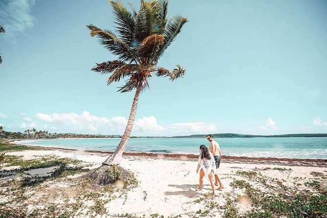 Snorkeling Tour to Vieques Island only 30 minutes away! - Should you book this Ceiba to Vieques snorkeling tour?