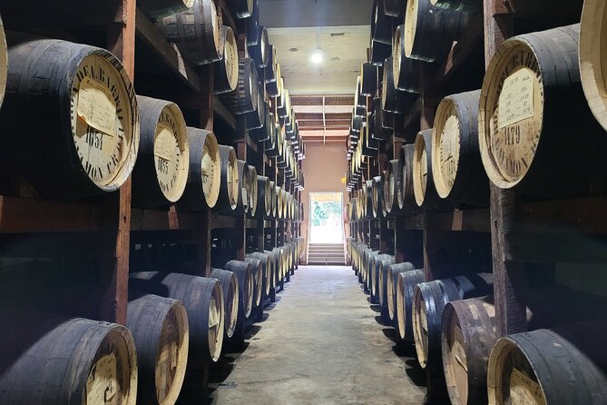 The Barrilito Rum Factory Experience Transportation Included - Key points to know before you go