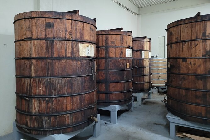 The Barrilito Rum Factory Experience Transportation Included - What this tour does not include: tasting classes and the “short tour” reality