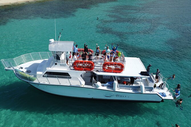 Theo Culebra Island Experience - Snorkeling the Coral Reef: Beginner-Friendly Coaching That Sets Expectations