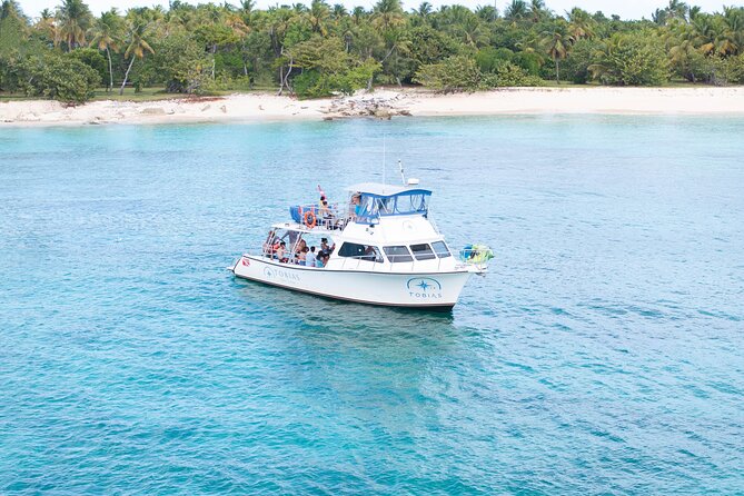 Tobias Icacos Half Day Tour - From Villa Marina to Icacos in About 15 Minutes