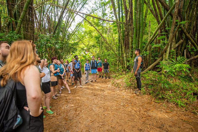 Top Rated El Yunque Rainforest & Waterslide – SmallGroup Tour - The second swimming hole: natural rock slide and cliff-jump energy