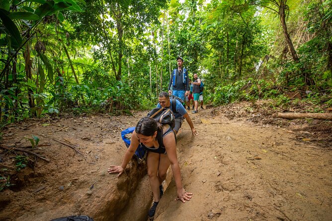 Top Rated El Yunque Rainforest & Waterslide – SmallGroup Tour - Guides are the difference maker: look for the names people rave about