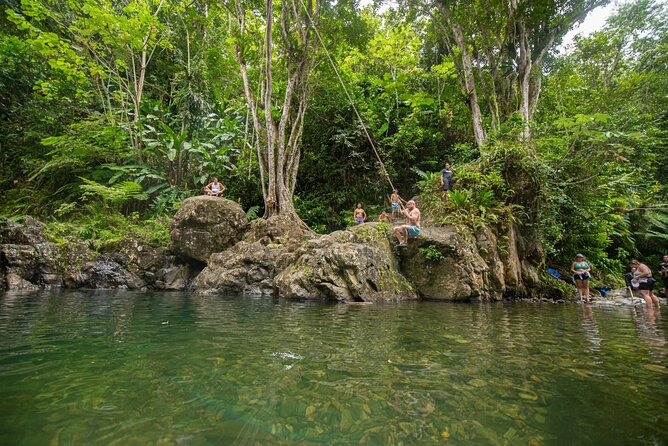 Top Rated El Yunque Rainforest & Waterslide – SmallGroup Tour - The first waterfall stop: a short hike, then swimming and rope swing