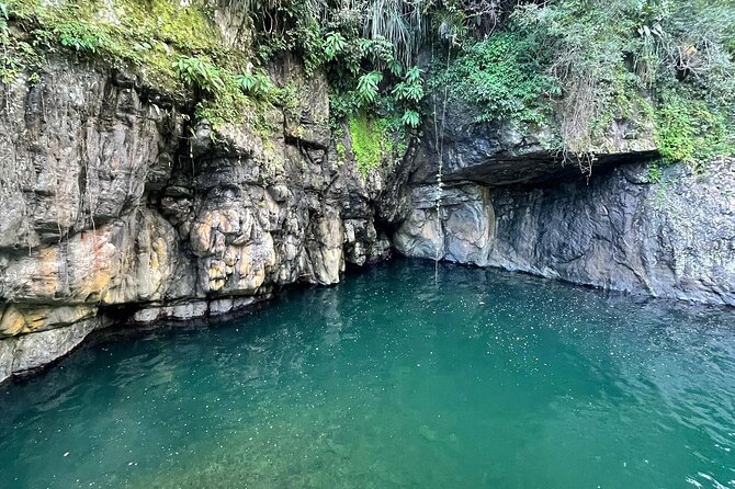 Toro Negro River Hike & Cliff Jumping Adventure; San Juan Pick Up - Stop 2 at Charco El Morón Pool: Deep Fresh Water and Two Different Ways to Enjoy It