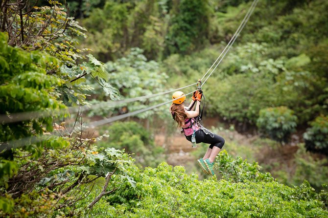 Toro Verde 7-Zipline Tour Plus the Beast with Pickup - Price and Value: What $189 Buys You (and What It Doesn’t)