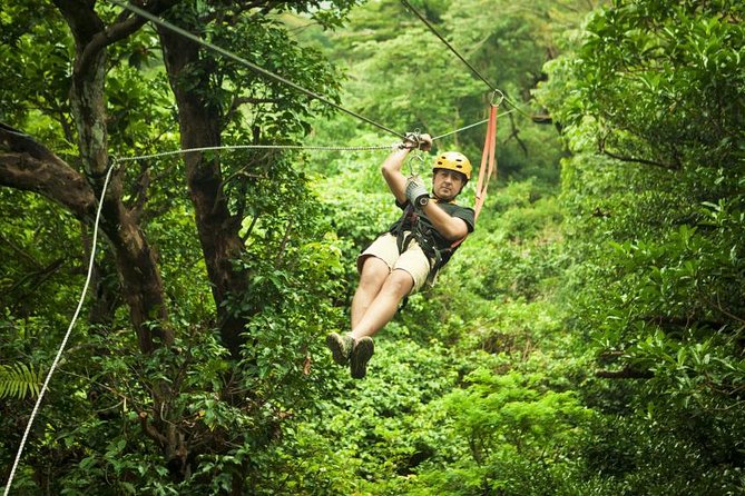 Toro Verde 7-Zipline Tour Plus the Beast with Pickup - Timing, Weather, and Day-of Tips That Actually Help