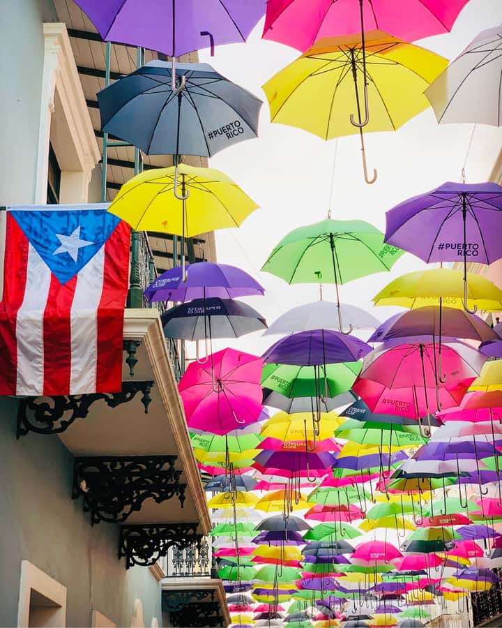 Tour de Viejo San Juan en Español - Plaza Colón setup: your landmark and the city’s starting point