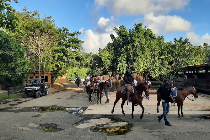Transfer from San Juan, Rio Grande, Loiza, Luquillo or return - Small-Group Setup Means Less Crowding, More Control