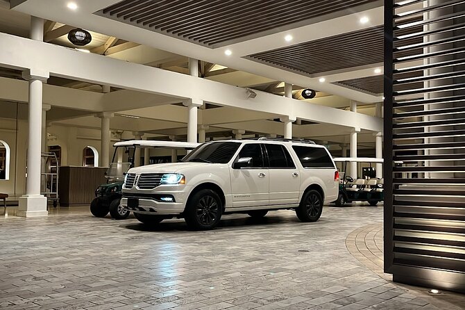 Transfer TO or FROM: Airport,Cruise,Hotel in DORADO or RIO GRANDE - Private transfer logistics that feel less stressful