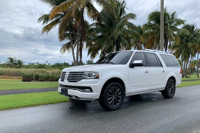 Transfer TO or FROM: Airport,Cruise,Hotel in DORADO or RIO GRANDE - Who this transfer is best for