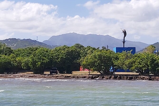 Transportation from San Juan to Ceiba ferry or airport - Luggage, Kids, and Pets: The Rules That Affect Your Day