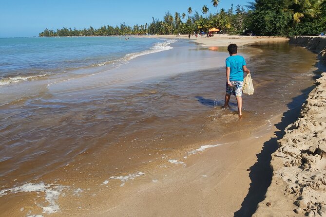Transportation from San Juan to Ceiba ferry or airport - Who This Transfer Fits Best (And Who Might Skip It)