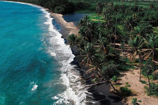 Transportation to Fajardo and Ceiba. Hotels and Airbnb vice versa One Way Trip. - Fajardo vs Ceiba: A Transfer That Lets You Focus on Your Stay