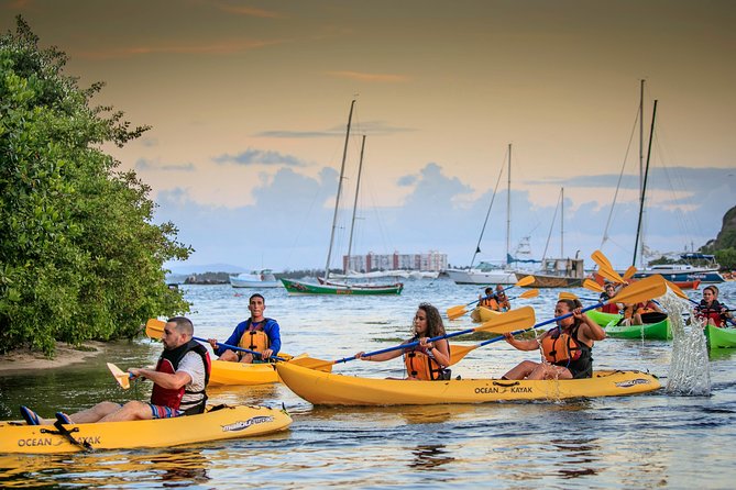 Trio Tour: El Yunque, Luquillo Beach, and Bio Bay Night Kayaking - A One-Day Mix of Rainforest and Bio Bay