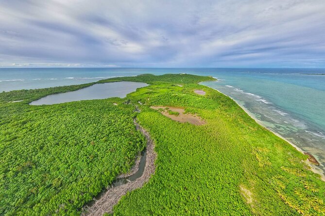 Trio Tour: El Yunque, Luquillo Beach, and Bio Bay Night Kayaking - Stop 3: Laguna Grande Bio Bay Night Kayaking in the Mangroves