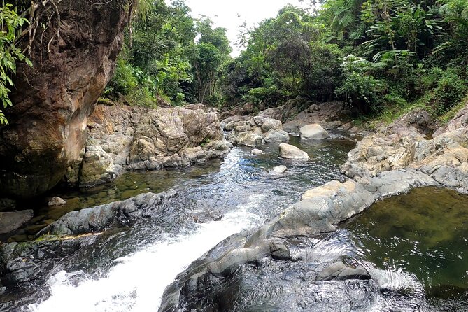 Trio Tour: El Yunque, Luquillo Beach, and Bio Bay Night Kayaking - Guides, Drivers, and the Pace That Shapes Your Day