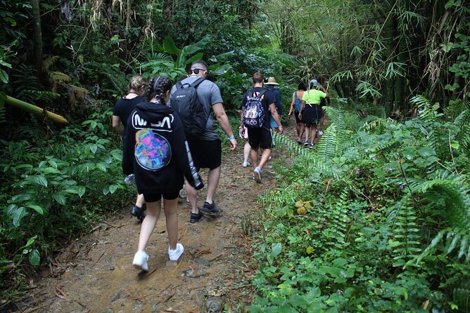 Trio Tour: El Yunque, Luquillo Beach, and Bio Bay Night Kayaking - Price and Value: Is $155 Worth It?