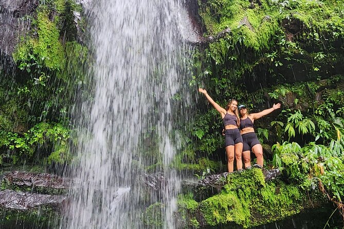 Tropical Rainforest Wonders Full Day Experience from San Juan - Toro Negro State Forest: the scenic drive that makes the day feel like a journey