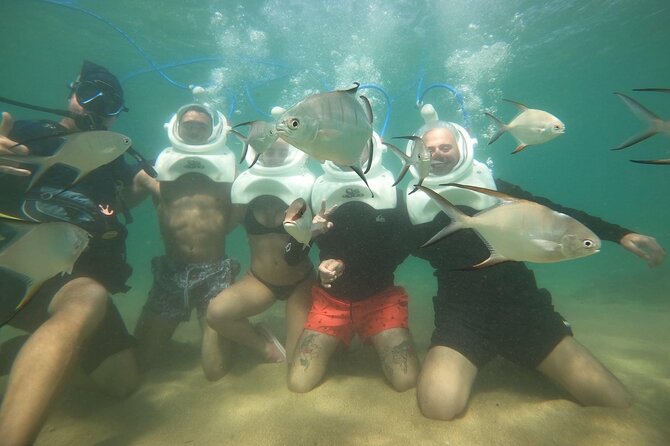 Underwater Sea Trek in San Juan: Explore Beneath the Waves - The guide experience: safety, pacing, and the small-group attention