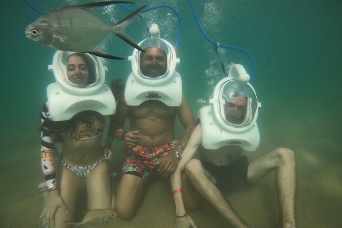 Underwater Sea Trek in San Juan: Explore Beneath the Waves - Marine life wrap-up on the beach and what photos add