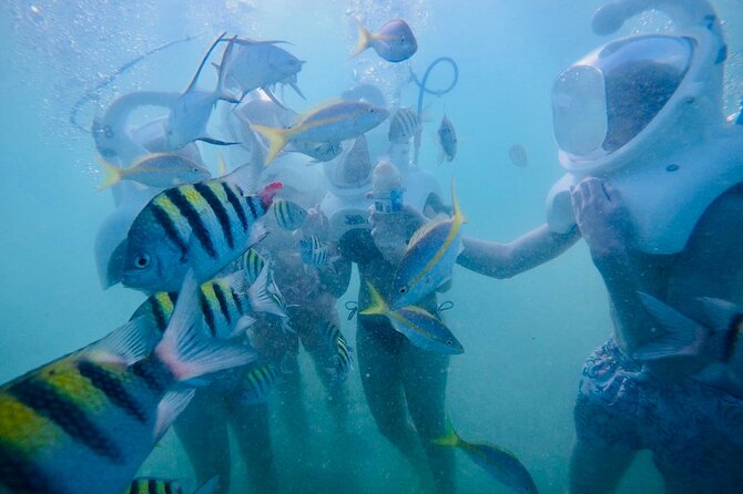 Underwater Sea Trek in San Juan: Explore Beneath the Waves - Comfort and fitness: what you should be ready for
