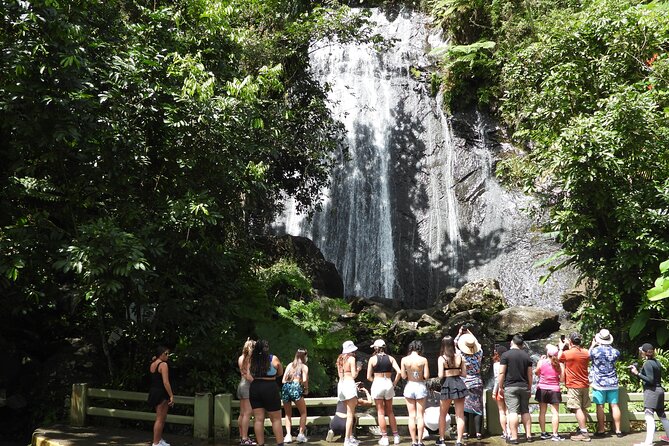 USDA El Yunque National Forest and Luquillo Beach Tour - Quick hits