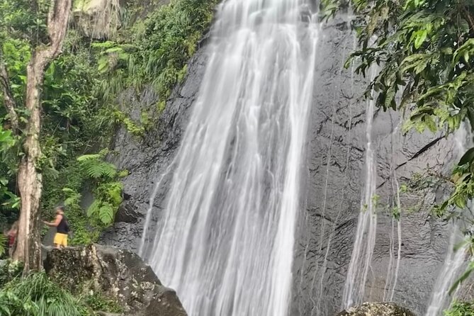 USDA El Yunque National Forest and Luquillo Beach Tour - Stop-by-stop: La Coca, Yokahu Tower, Puente Roto, and Luquillo