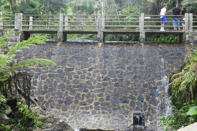 USDA El Yunque National Forest and Luquillo Beach Tour - What you pay for: value beyond the $79 price tag