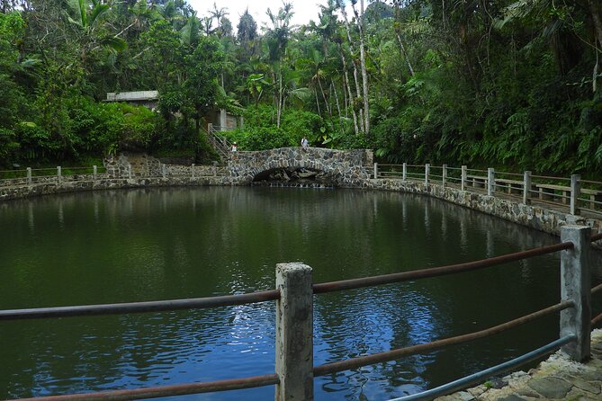 USDA El Yunque National Forest and Luquillo Beach Tour - Who this tour suits best (and who should skip it)